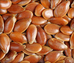 Flax Seed