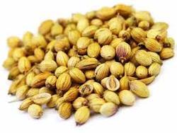 Coriander Seed