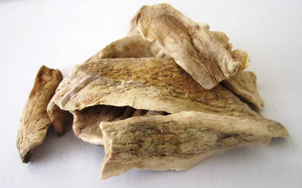 Dry Mango