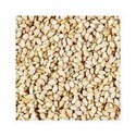 Sesame Seed