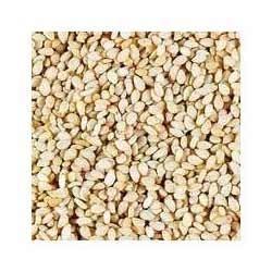 Sesame Seed